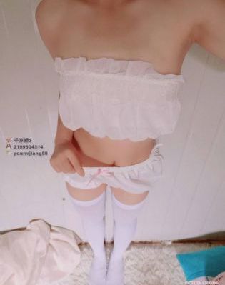茶杯孤cupfox