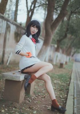 fateextra动画